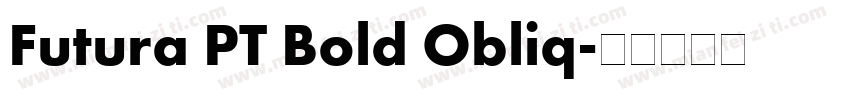 Futura PT Bold Obliq字体转换
